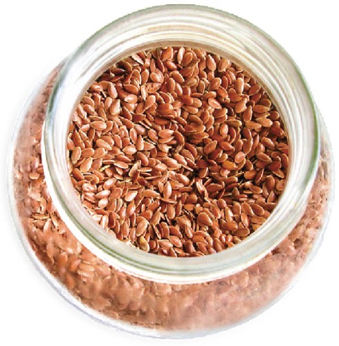 Flax Seeds