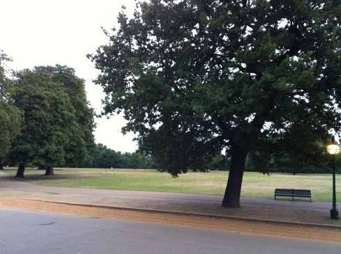 the wonderful city of London Hyde park