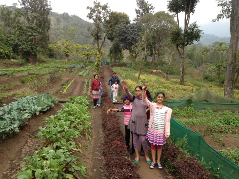 organic farming Farm