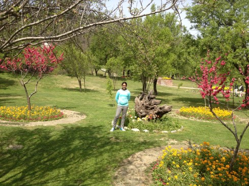 Almond Almond Garden