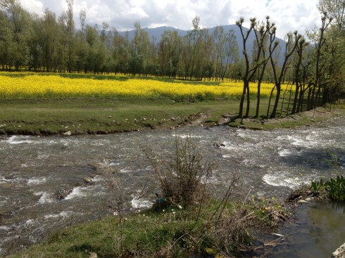 Pahalgam Lidder River Pahalgam