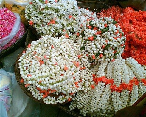 Best flowers in India Jasmine flowers