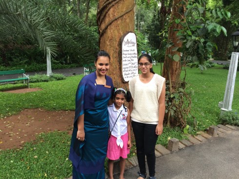 organic garden fresh air in park