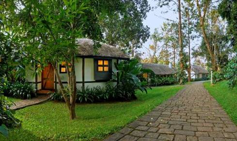club mahindra nice resort in coorg