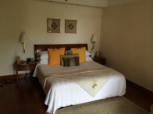 luxurious room nice and comfortable