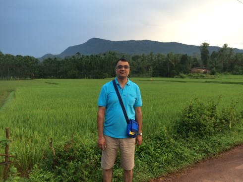 lush green paddy fields every day morning walks lush green paddy fields every day
