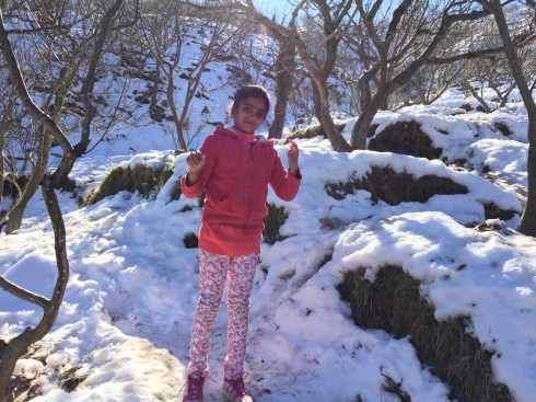 Snow covered Mountain Mukteshwar Trip