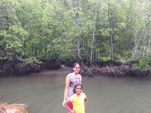 Best Mangroves forest