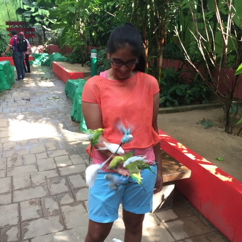 Amazing birds in wildlife park