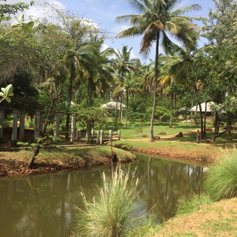 Shreyas is a sprawling property spread across 25 acres.