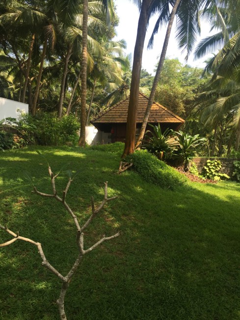 photos shot on iPhone 6 Niraamaya View