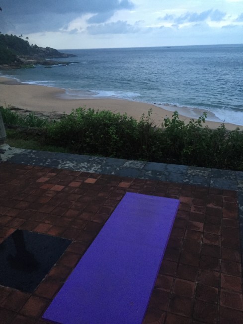 hammocks swaying in the breeze, coconut tree Rock garden rooms