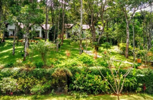 Independent-Cottages-at-Niraamaya-Ca