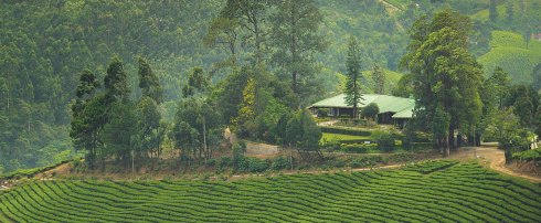Talayar-Valley-Bungalow