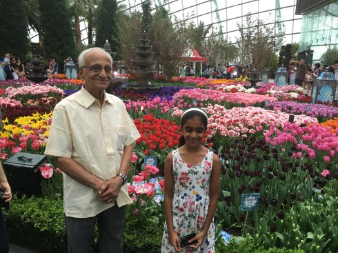 world of greenery Gardens by the bay