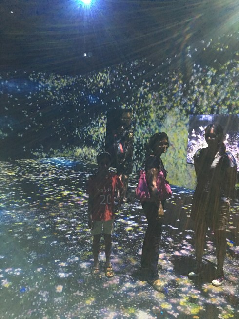 digital universe arts and science museum