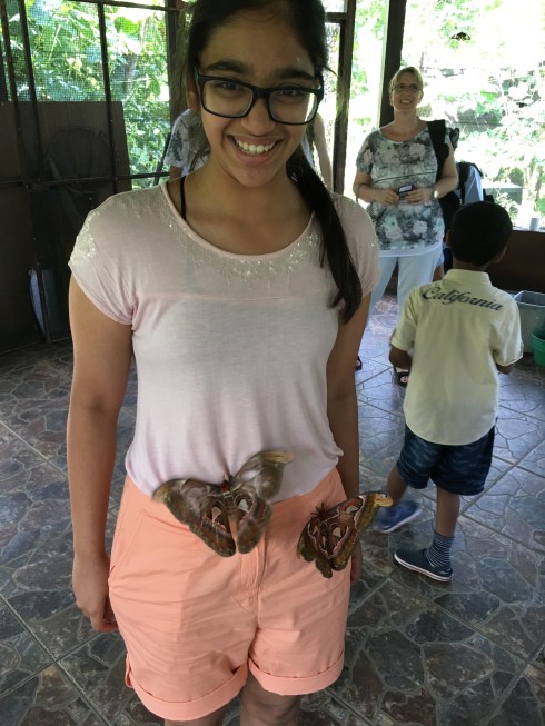 butterfly park nusa dua