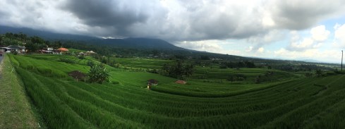 hilly part of bali jatiluwih rice terraces