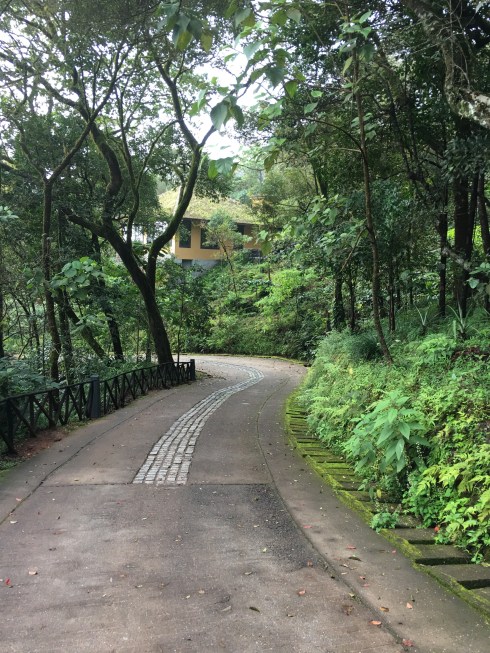 Taj Coorg Taj Coorg cottage path