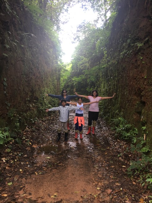 Taj Madakeri Greenaery in Taj Coorg