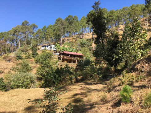 Kumaoni Kumaoni meal