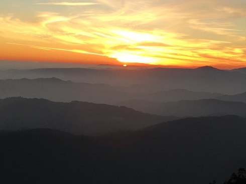 Sunrise Flora and fauna full of herbs