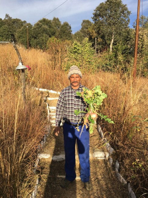 Spiritual Enclave Dunagiri Retreat