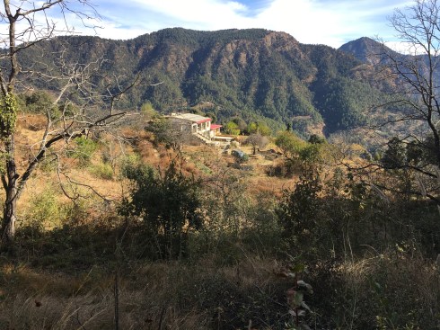 Dunagiri hills Beautiful places in Dunagiri