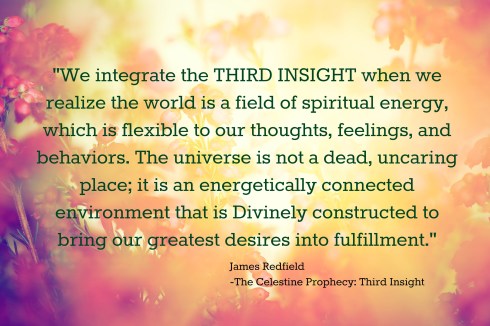 Heather flowers on a fall, autumn meadow in shining settng sun that gives warm mood. Vintage retro style.