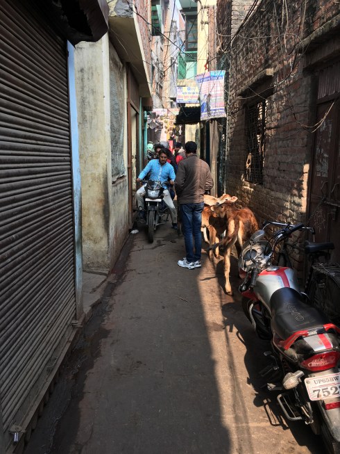 Benares & Sarnath in 48 hrs, Benares in 48 hrs, Best Tour Guide Benares, Best tour Guide in Varanasi, Must do things in Benares, Planning a trip to Benares, Weekend in Benares Saints & Sufi Mystics