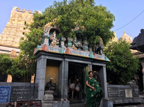 Ekambareshwar Temple in Kanchipuram Ekambareshwar Temple