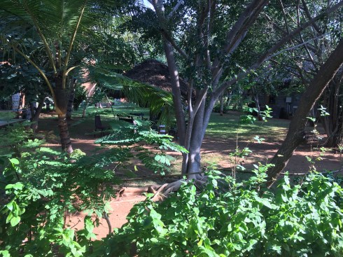 Best Places to visit in Chidambaram & Thiruvanamalai Best Places in Chidambaram