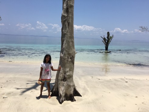 sea walking banana boat