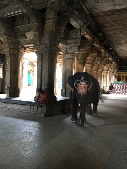 Godess temples in tircuhi Devi Shrine of Akhilandeshwari