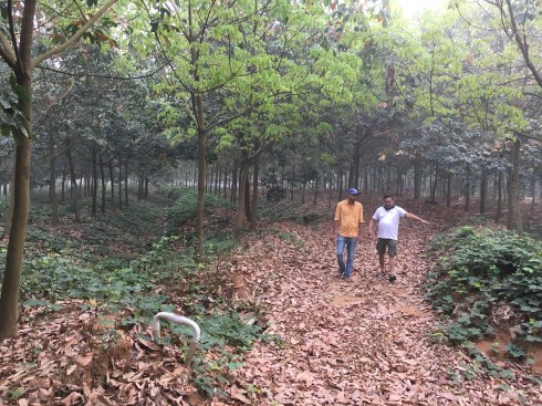 Best homestays near Malnad Best homestays near Malnad