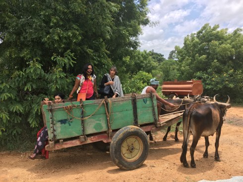 Baevu Village Baevu Villagewith neem trees