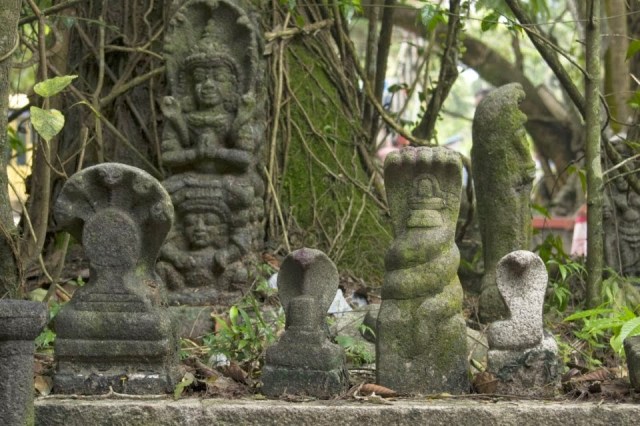 Why we worship Snakes? An Insight | A Few Good Things