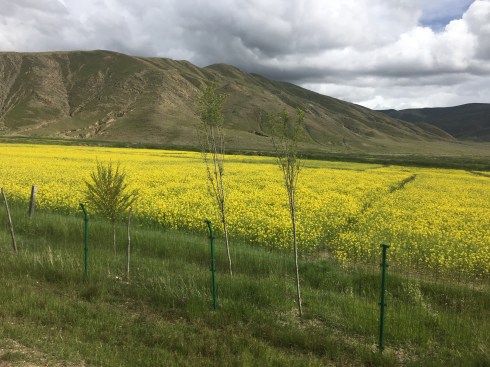 Kailash Mansarovar Travel tips Kailash Mansarovar